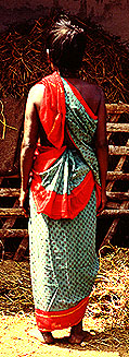 Tamil Saree Drape