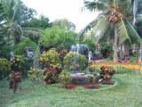 jaffna garden