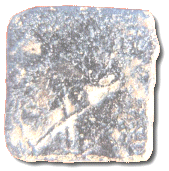 'Peru-valuthi' Pandya coin